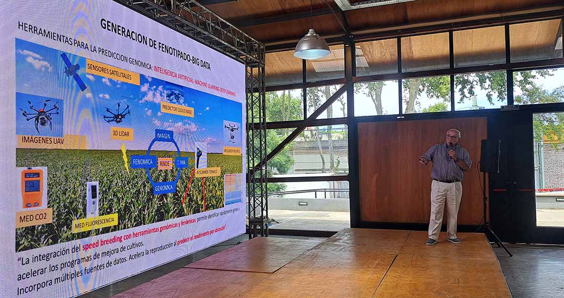 ¿Cuáles son las variedades de soja resilientes al estrés abiótico?